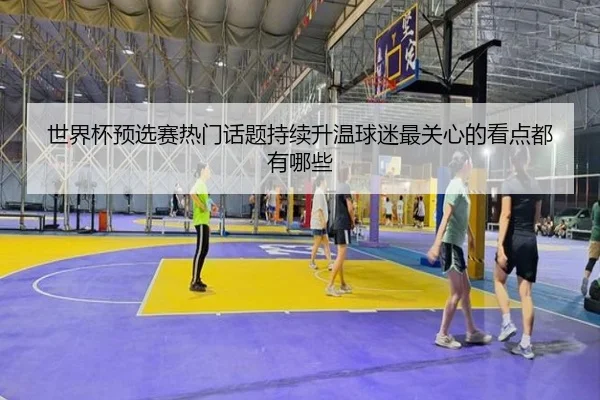 世界杯预选赛热门话题持续升温球迷最关心的看点都有哪些 | Sina Sports