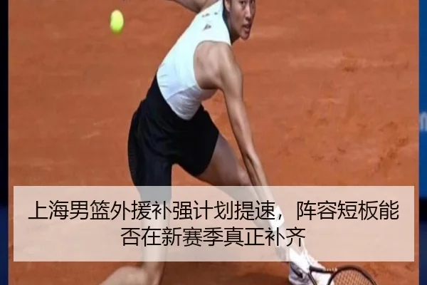 上海男篮外援补强计划提速，阵容短板能否在新赛季真正补齐 | Sina Sports